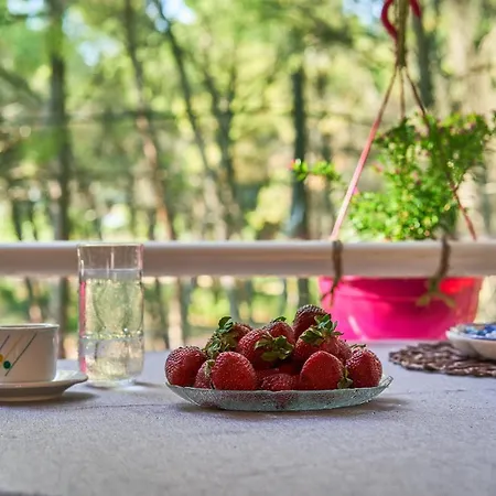 Pine Forest View Apartment Metamorfosi (Sithonia)