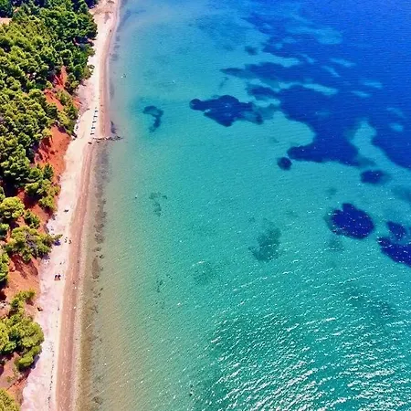 Pine Forest View * Metamorfosi (Sithonia)