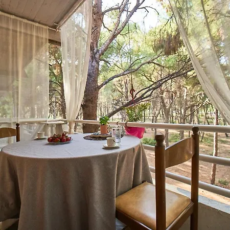 Διαμέρισμα Pine Forest View Μεταμόρφωση