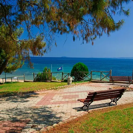 Pine Forest View Διαμέρισμα *