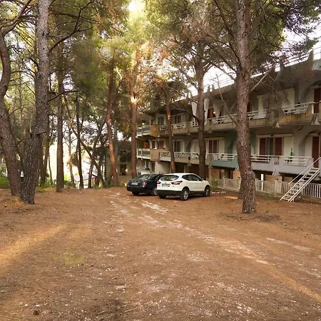 Διαμέρισμα Pine Forest View Μεταμόρφωση